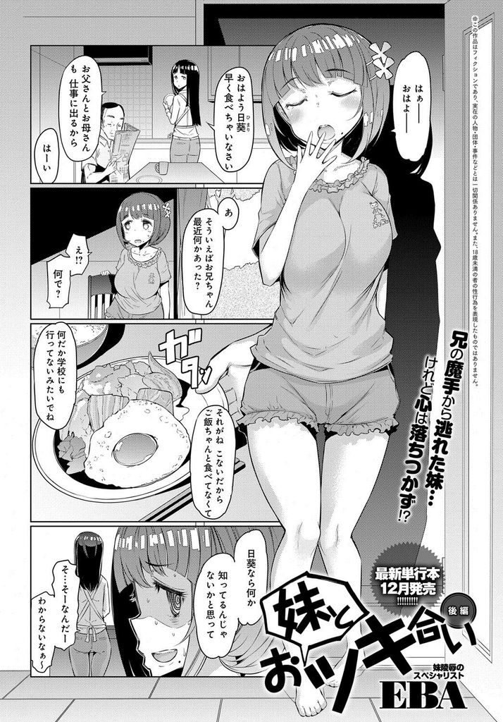 【エロ漫画】(3/3話)別れると言われて生きる気力をなくした兄を仕方なく慰める巨乳の妹…初めて自分から迫り一緒に気持ち良くなって野外でいちゃラブ中出しセックス【EBA:妹とおツキ合い 後編】