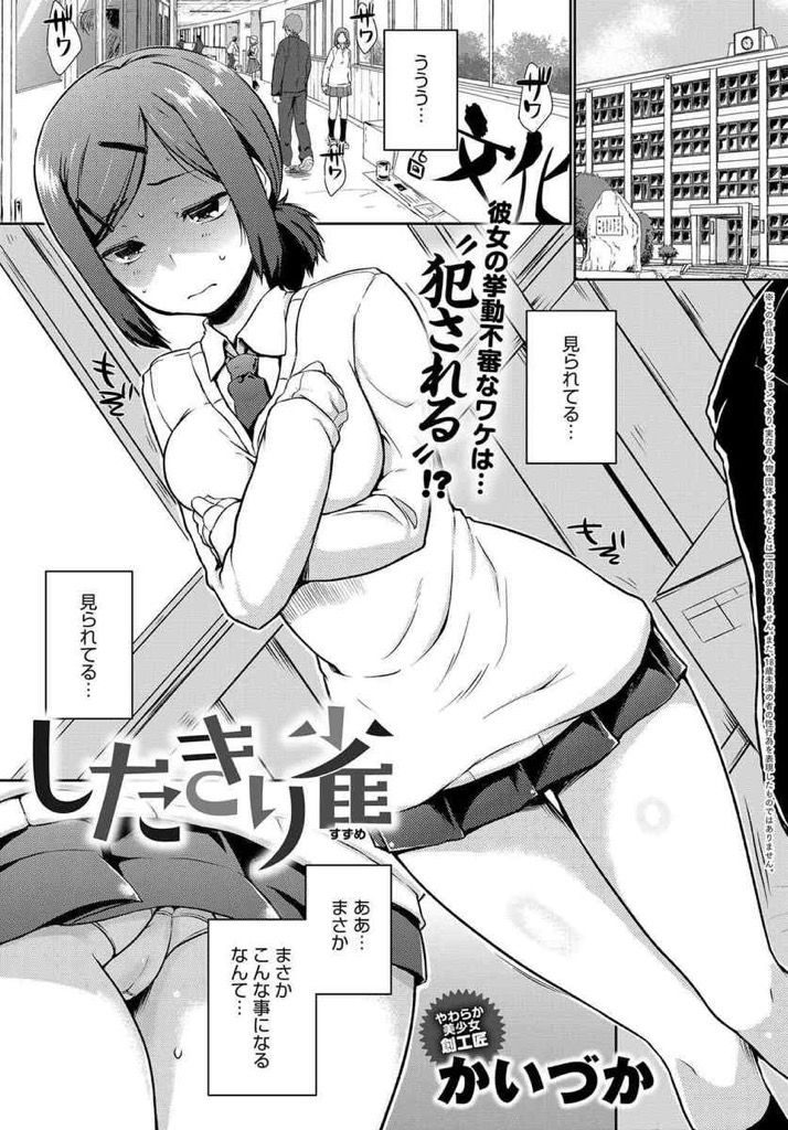 【エロ漫画】強姦されると思い込む妄想癖の強いJK...自らマンコにチンコを挿入して勝手に気持ち良くなって勝手に中出し【かいづか:したきり雀】