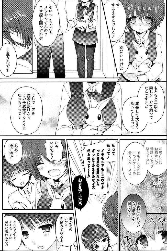 【エロ漫画】脱走したうさぎを捕まえたことで親しくなったお隣の巨乳美少女…ウサギに関することで一緒にいる時間が増えお互いに好きになりセックスをすることになる【しらいちご:らびはに】