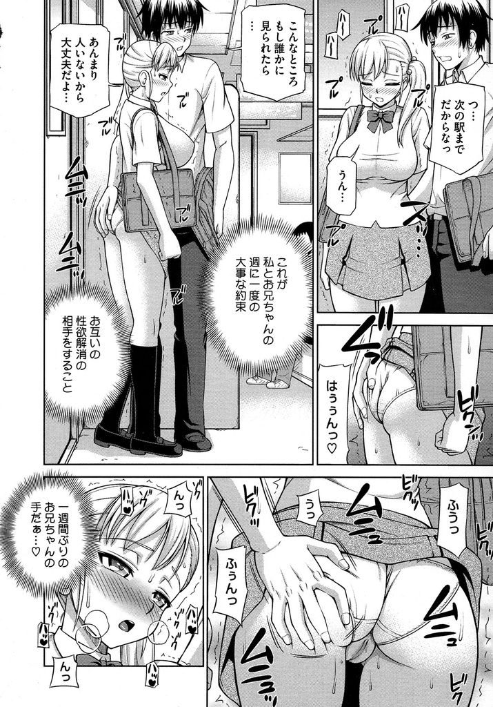 【エロ漫画】週に一度実の兄と約束して性欲解消をしている巨乳JK…一週間ぶりの兄の手に我慢できず電車内の手マンでイかされそのままトイレに駆け込みセックスをする【水上桜:今日は〇の日】