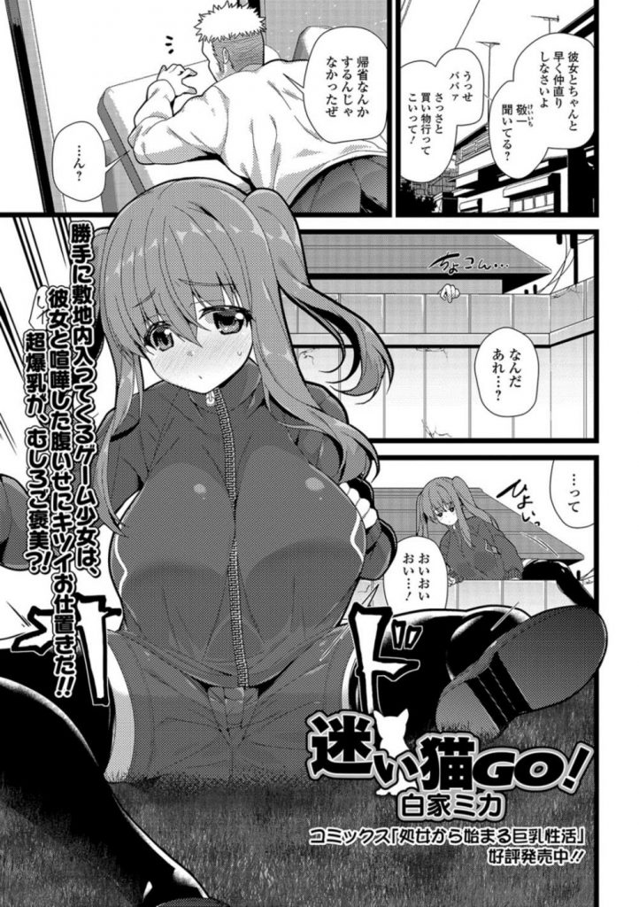 【エロ漫画】ゲームのために敷地内に無断侵入してきた巨乳美少女…ゲームのためなら身体を触られてもいいという少女を容赦なく処女喪失中出しレイプ【白家ミカ:迷い猫GO!】