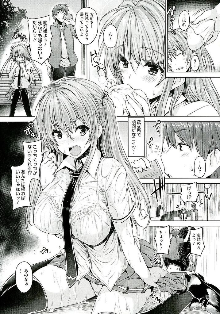 【エロ漫画】(3/4話)兄と姉がセックスしてる所見てしまい家出する巨乳の妹…素直にならない彼女に優しく接し公園でいちゃラブ中出しセックス【ごばん:Love square panic 第3話】