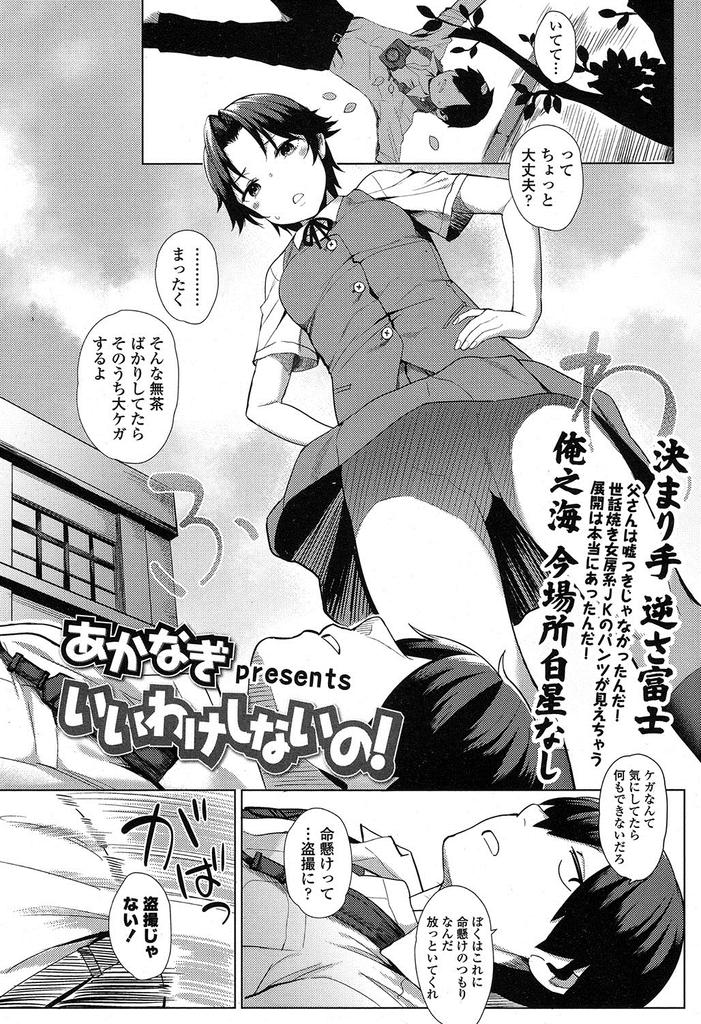 【エロ漫画】画家になる資料のためとは言え盗撮するのを辞めさせる巨乳JKの委員長…自らモデルとなって服を脱ぎ暴走した彼を正気に戻して激しいセックス【あかなぎ:いいわけしないの！】