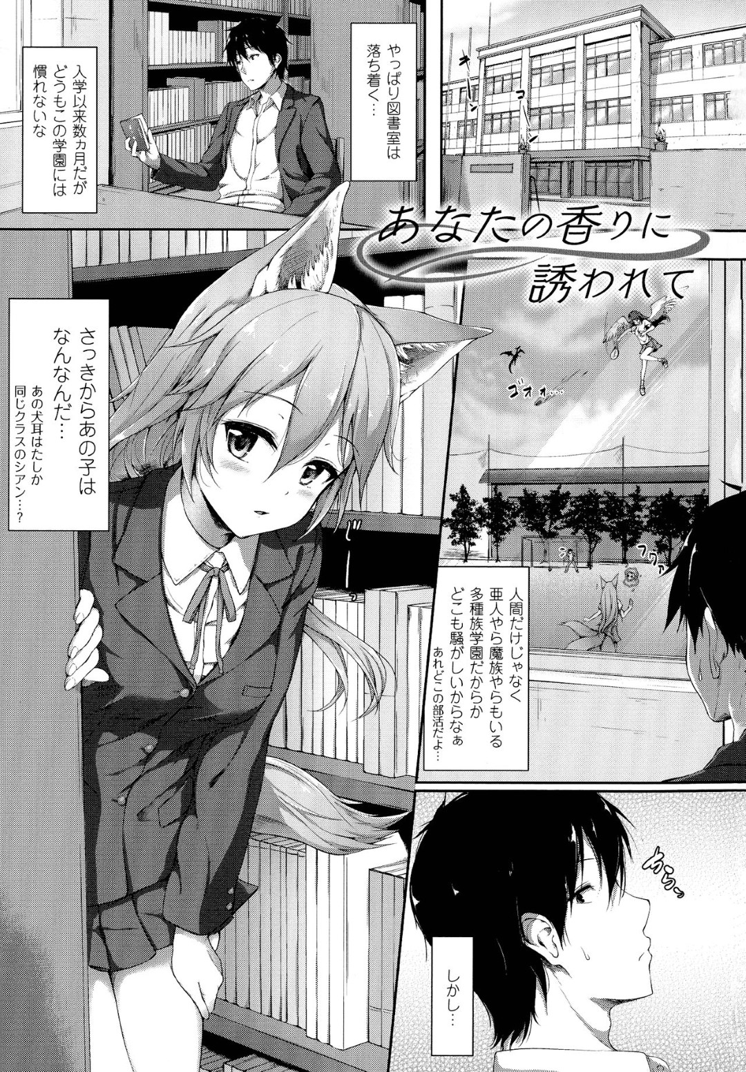 【エロ漫画】図書室でこっそり同級生の男子とエッチするケモ耳JK…彼に従順な彼女はディープキスや手マンを受けて発情状態となって制服姿のまま中出し着衣セックス！【淡夢:あなたの香りに誘われて】